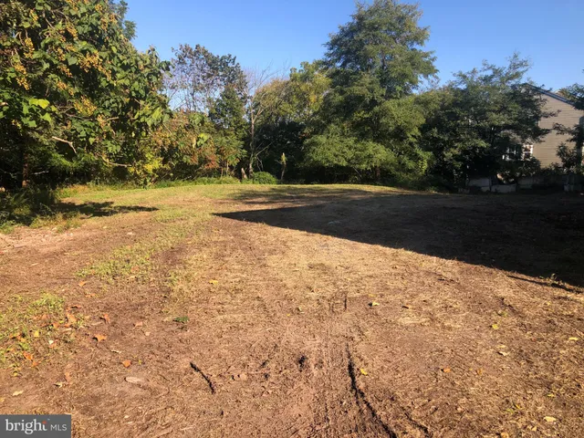 a view of yard with green space