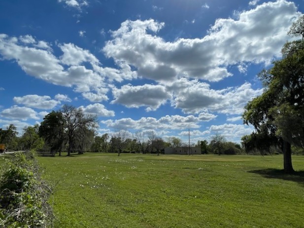 0 Hackamore Road Wallis, TX 77485 - Photo 29 of 33