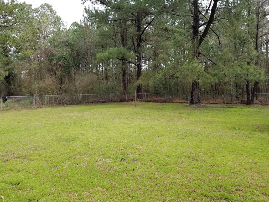 3994 Elliott Road Pinewood, SC 29125 - Photo 10 of 11 Gallery Image 10