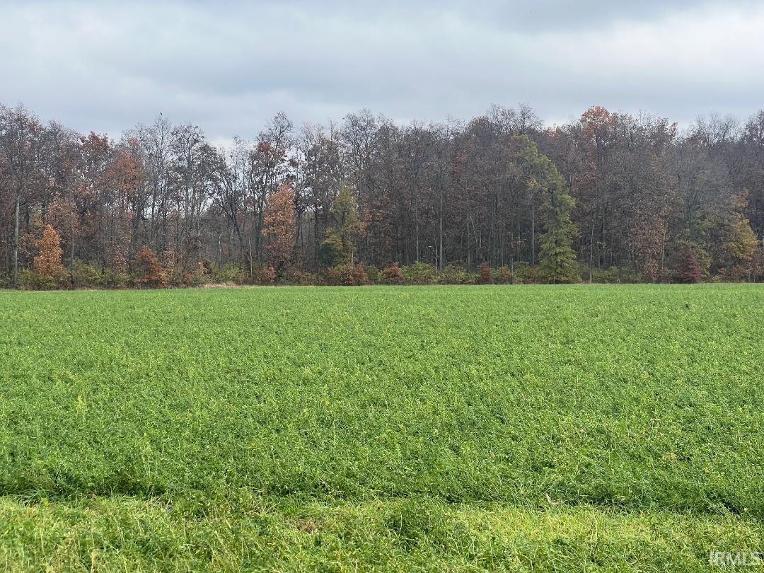 2215 Amy Lafayette, IN 47909 - Photo 2 of 7