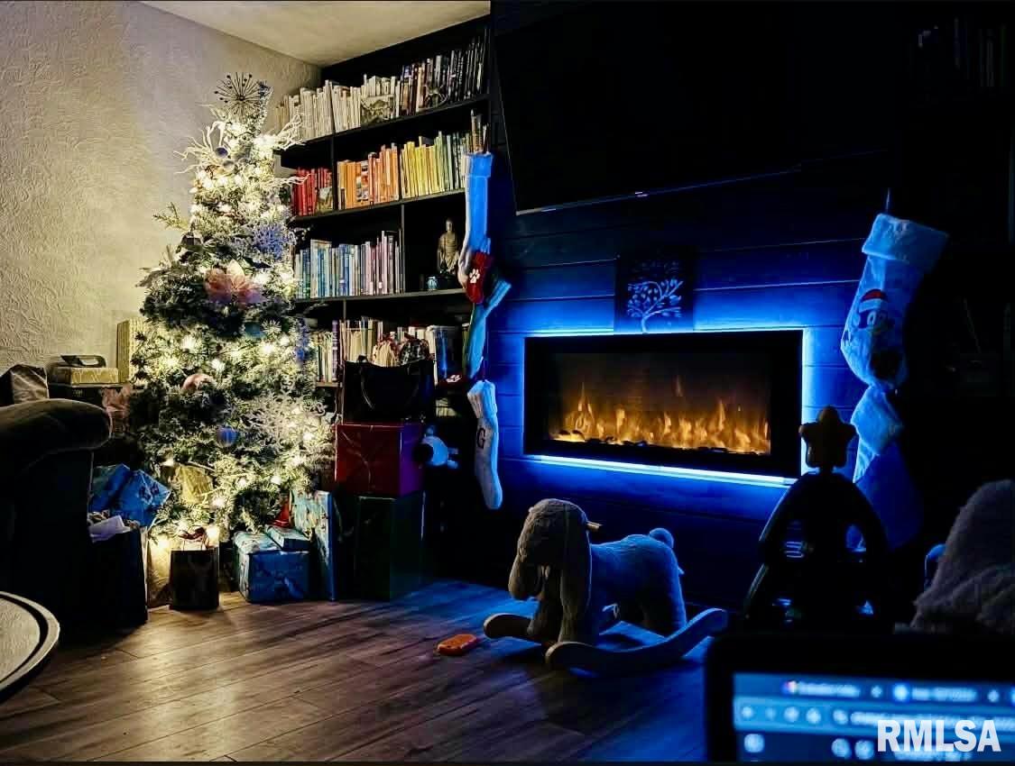 133 South Elmwood Road Farmington, IL 61531 - Photo 5 of 31