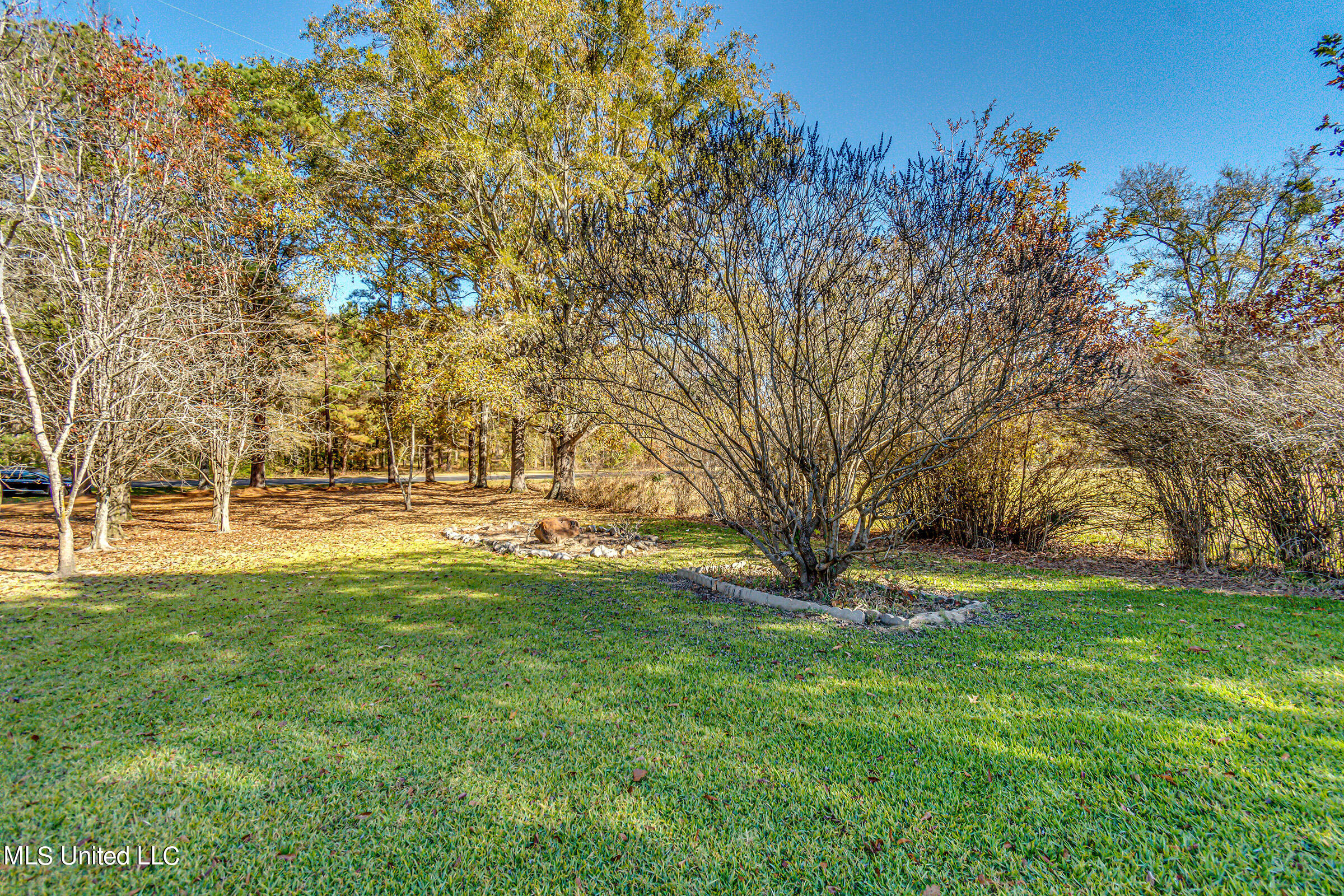 937 Livingston Vernon Road Flora, MS 39071 - Photo 8 of 60 937 Livingston Vernon Rd-7