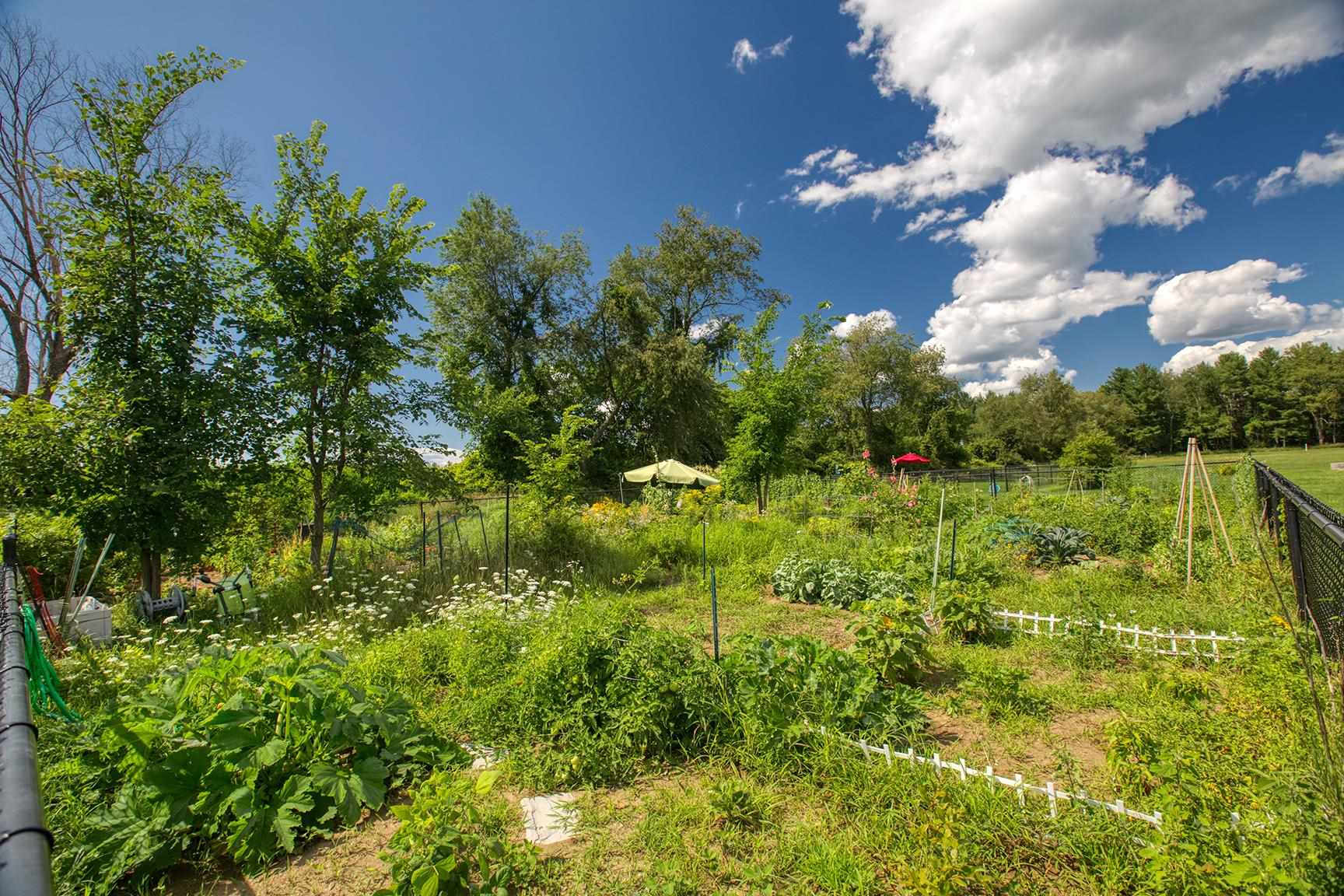 15 East Road, Unit 104 Fairfax, VT 05454 - Photo 29 of 31