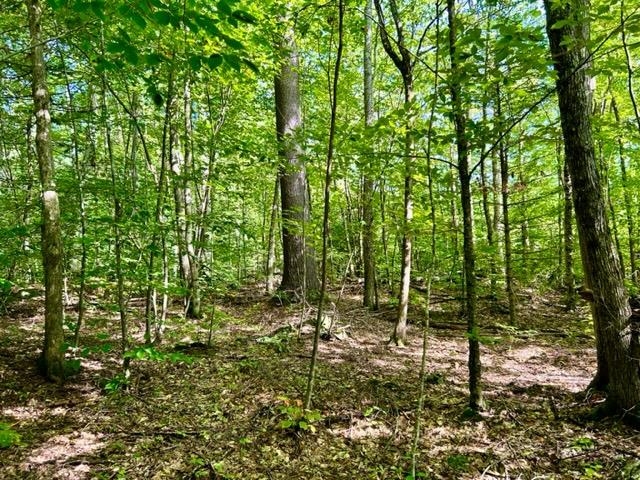 Valley Road, Unit 173 Woodsville, NH 03785 - Photo 1 of 6 Gallery Image 1