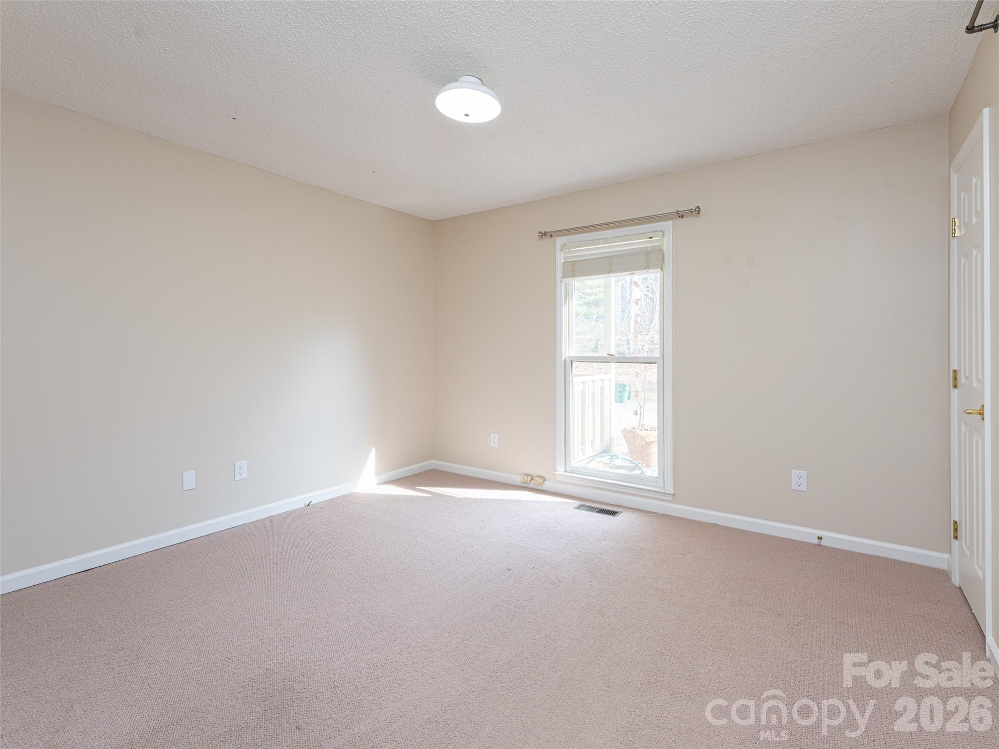 8 Turkey Toe Lane Arden, NC 28704 - Photo 20 of 38