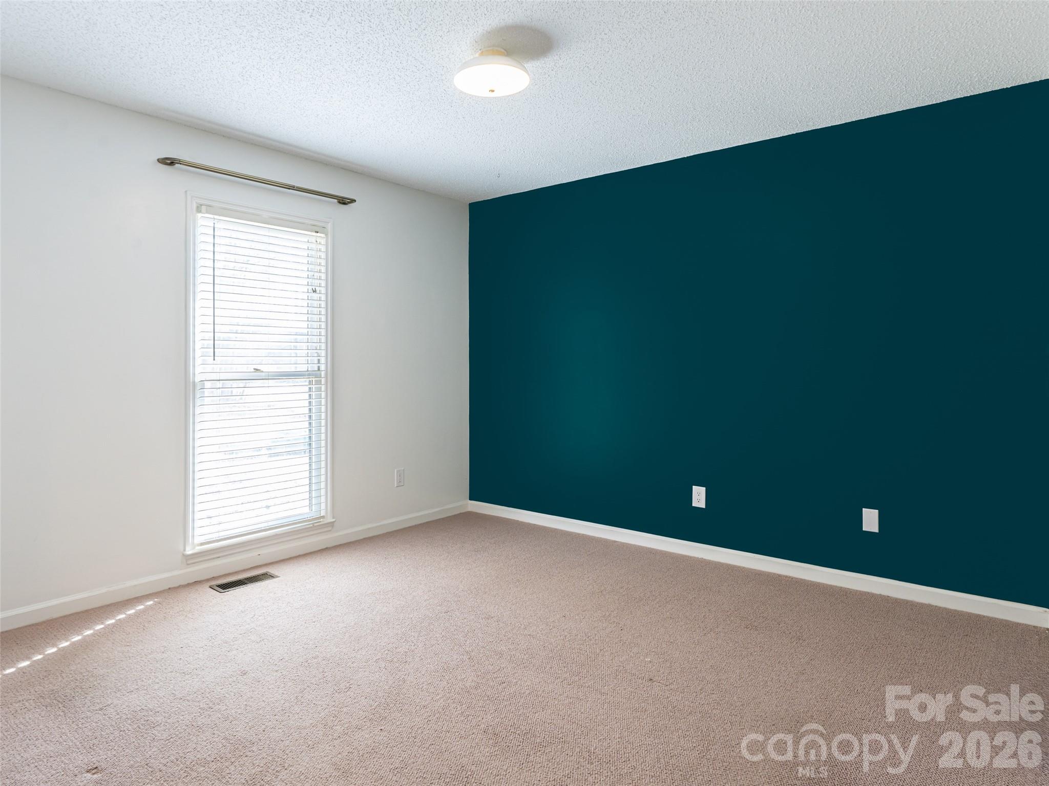 8 Turkey Toe Lane Arden, NC 28704 - Photo 21 of 38