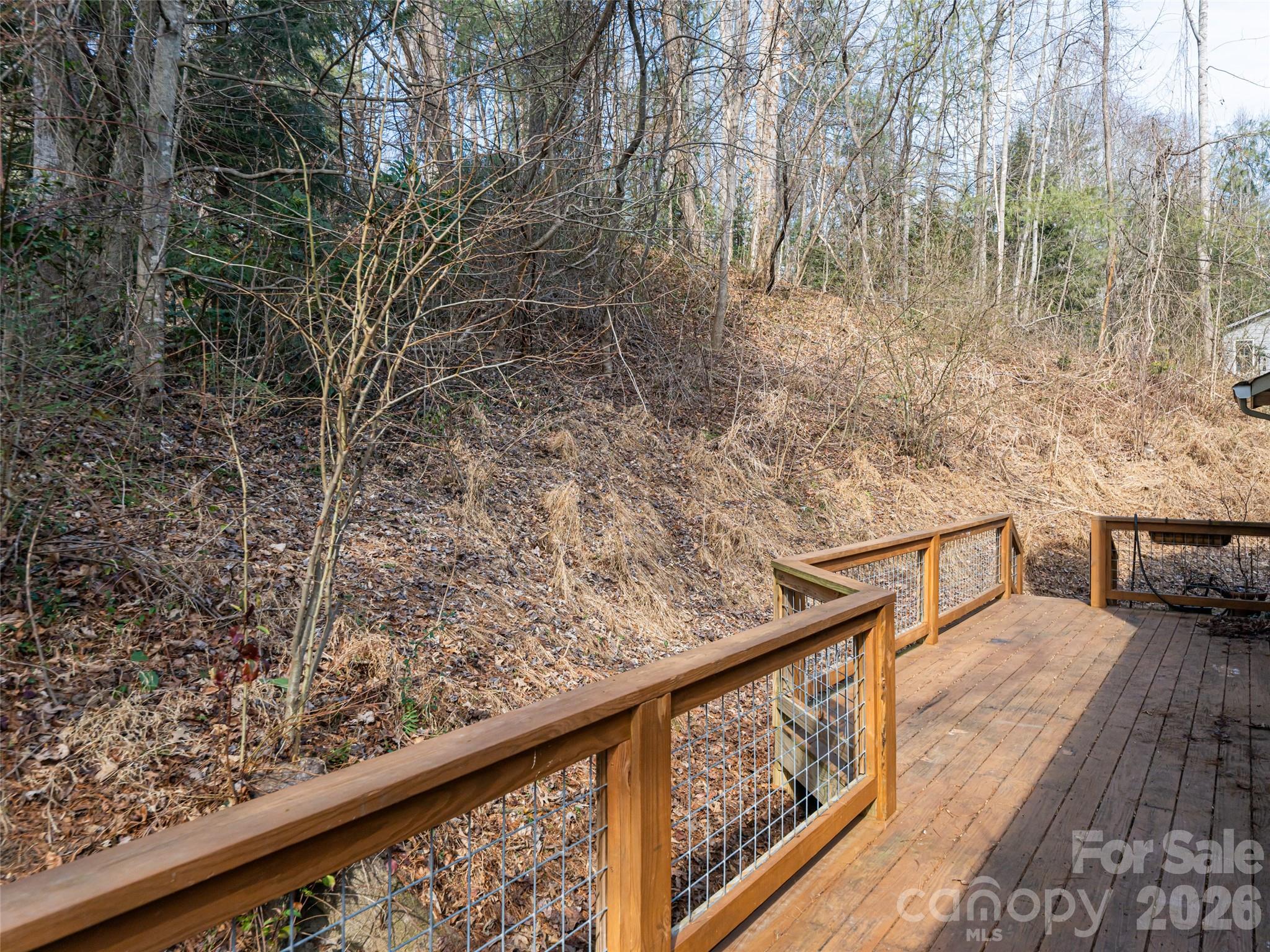 8 Turkey Toe Lane Arden, NC 28704 - Photo 28 of 38