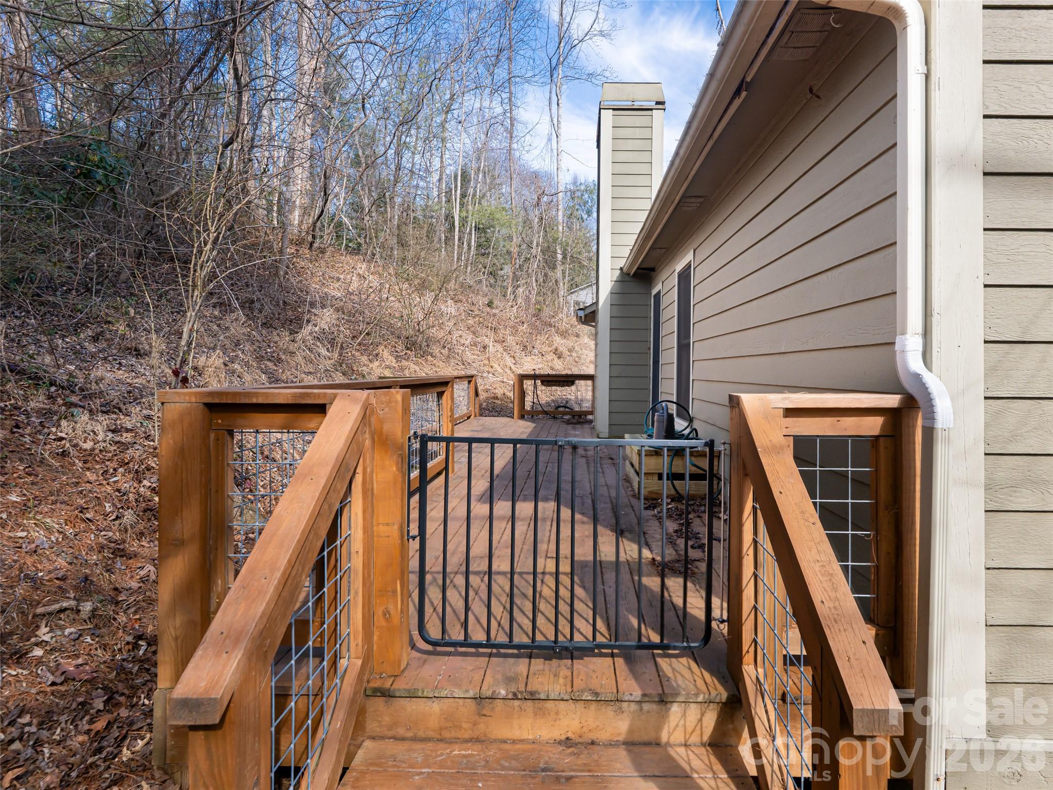 8 Turkey Toe Lane Arden, NC 28704 - Photo 30 of 38