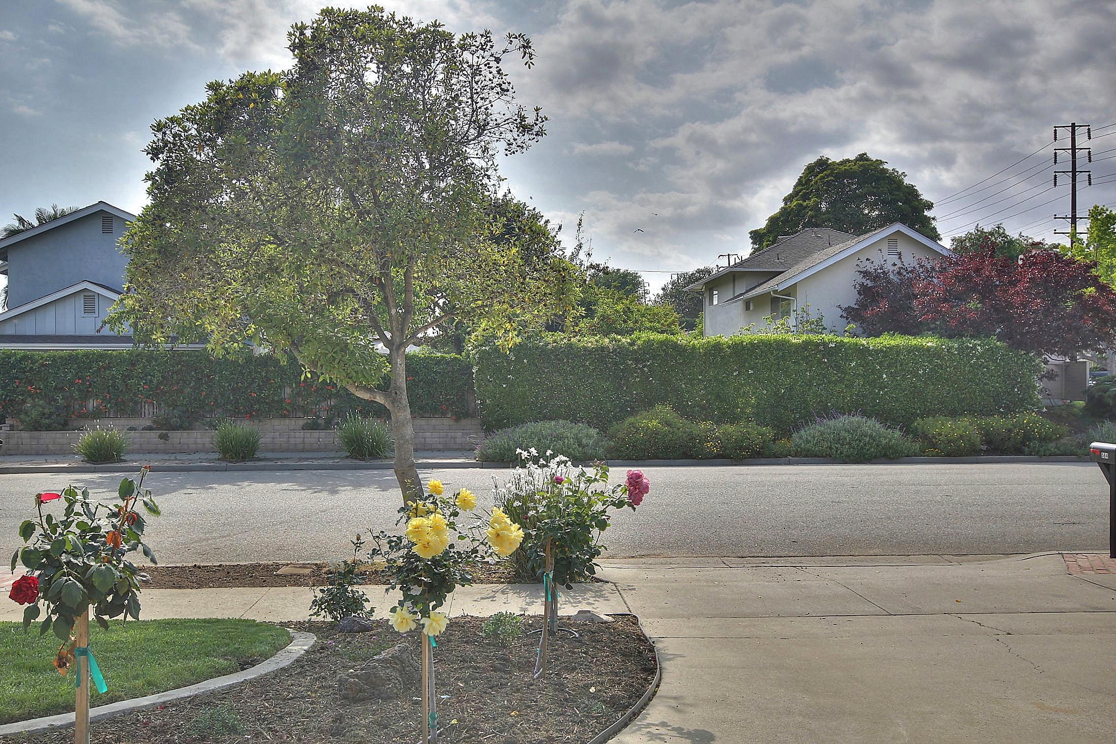 564 Wakefield Road Goleta, CA 93117 - Photo 24 of 26 Street View
