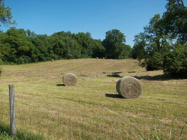 1470 Clifton Road Versailles, KY 40383 - Photo 8 of 8 Photo 8