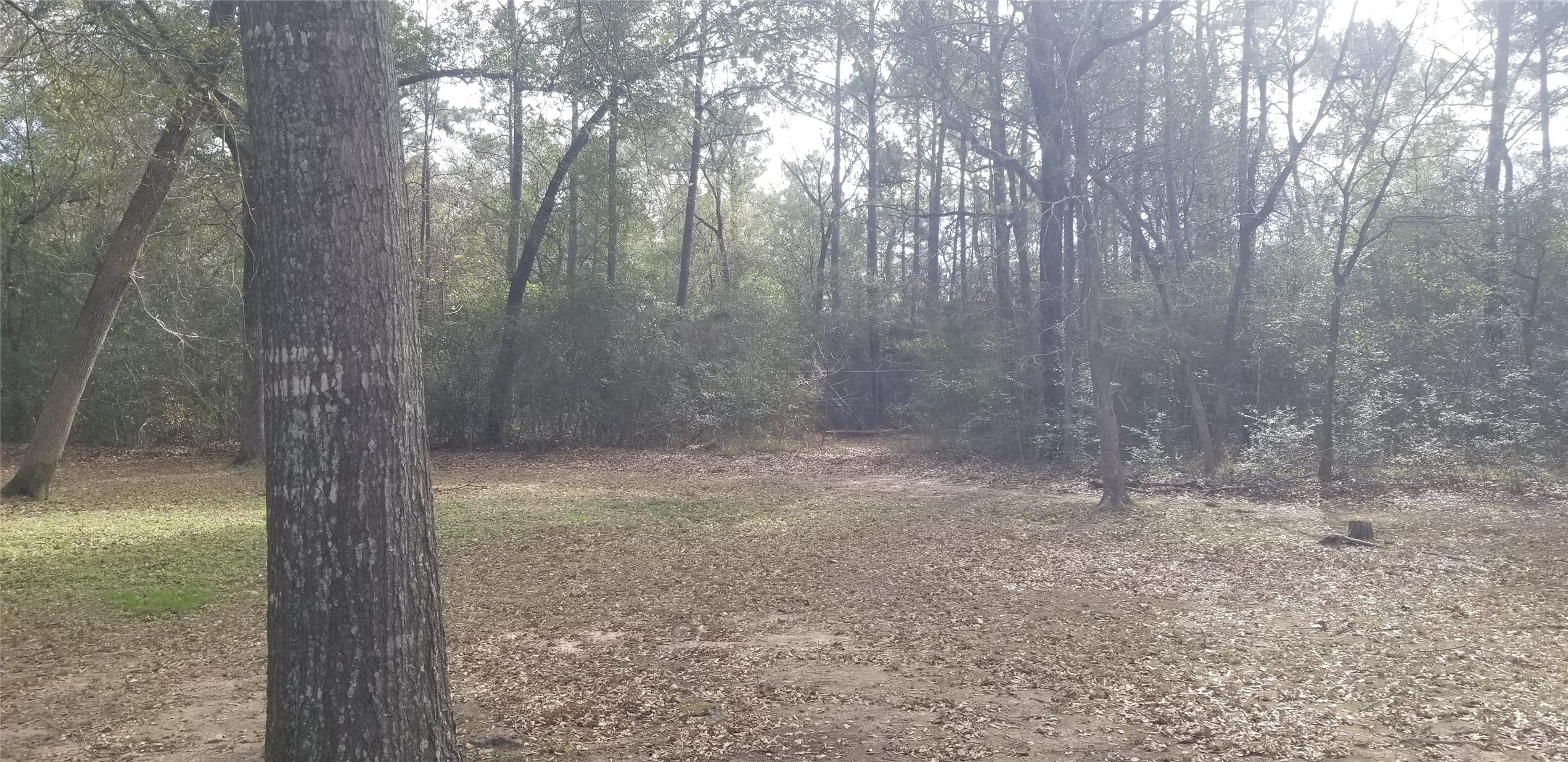 19190 Todd Road Magnolia, TX 77355 - Photo 14 of 20