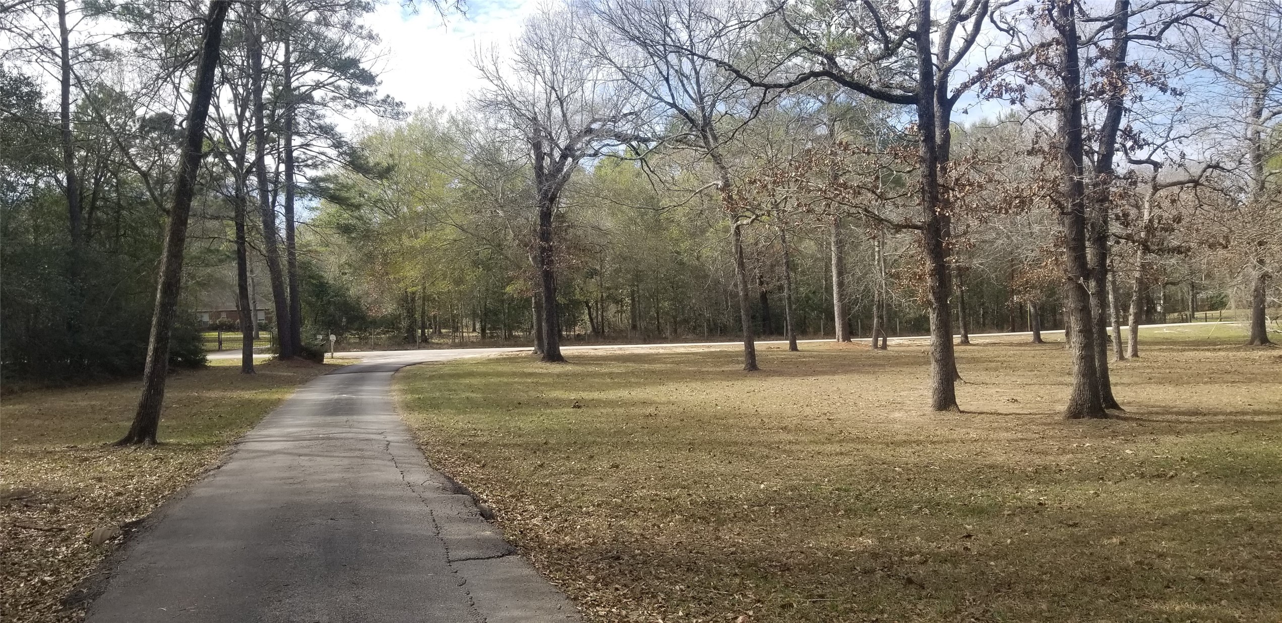 19190 Todd Road Magnolia, TX 77355 - Photo 17 of 20