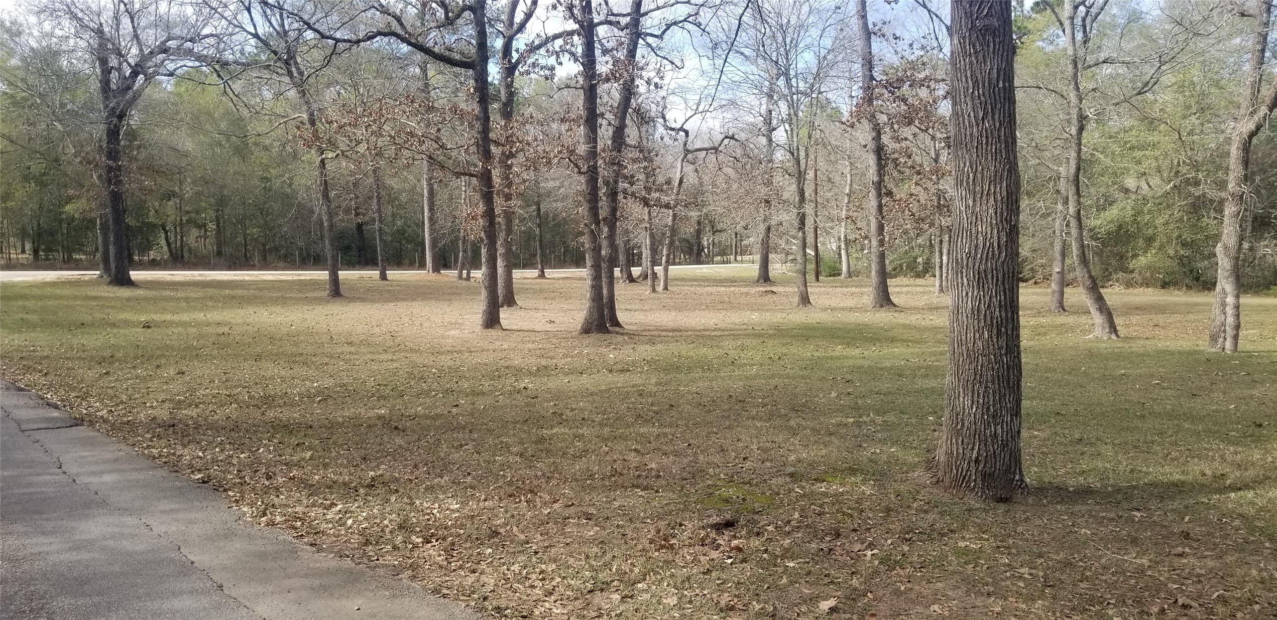 19190 Todd Road Magnolia, TX 77355 - Photo 18 of 20