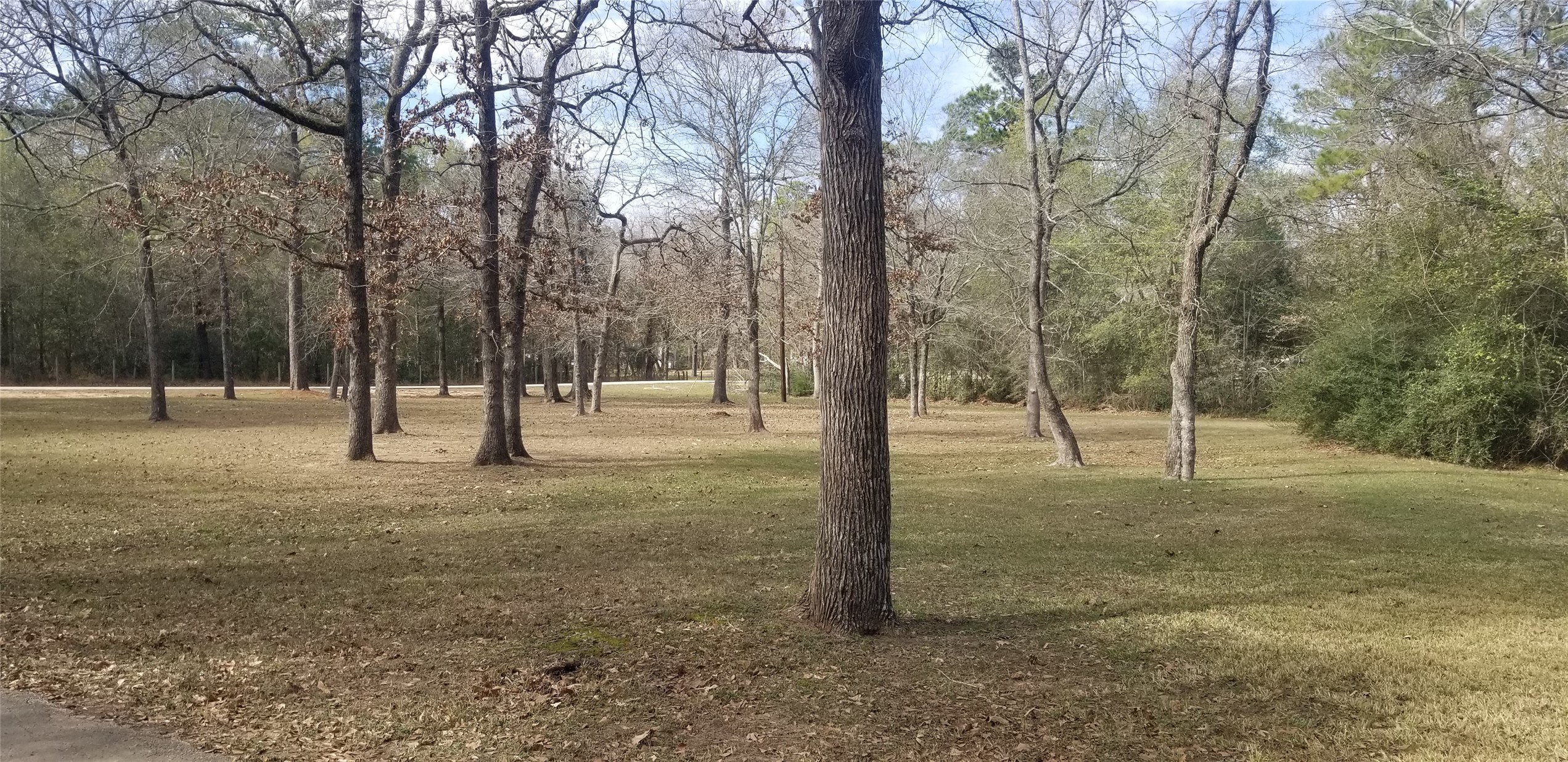 19190 Todd Road Magnolia, TX 77355 - Photo 19 of 20