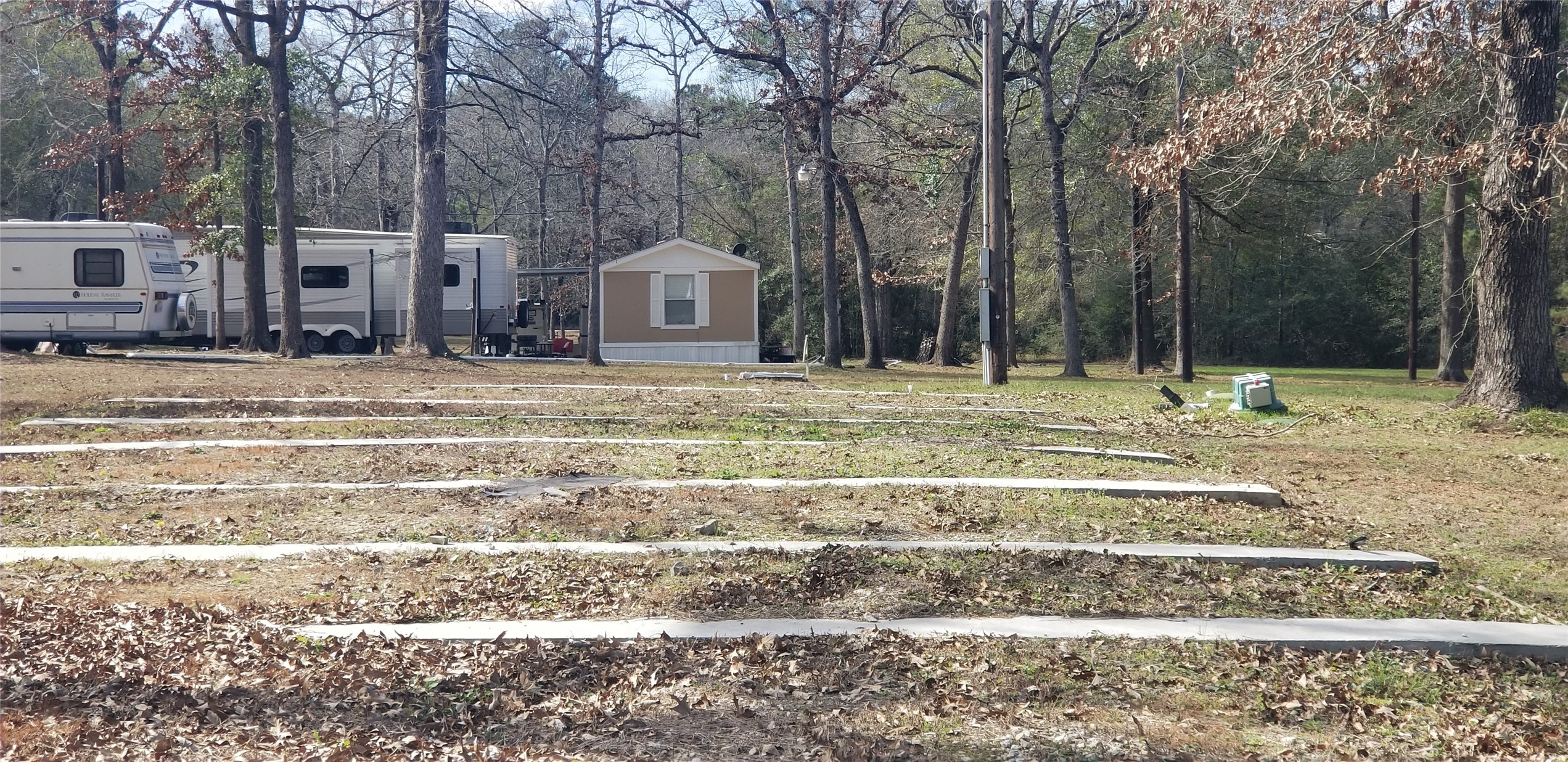 19190 Todd Road Magnolia, TX 77355 - Photo 4 of 20