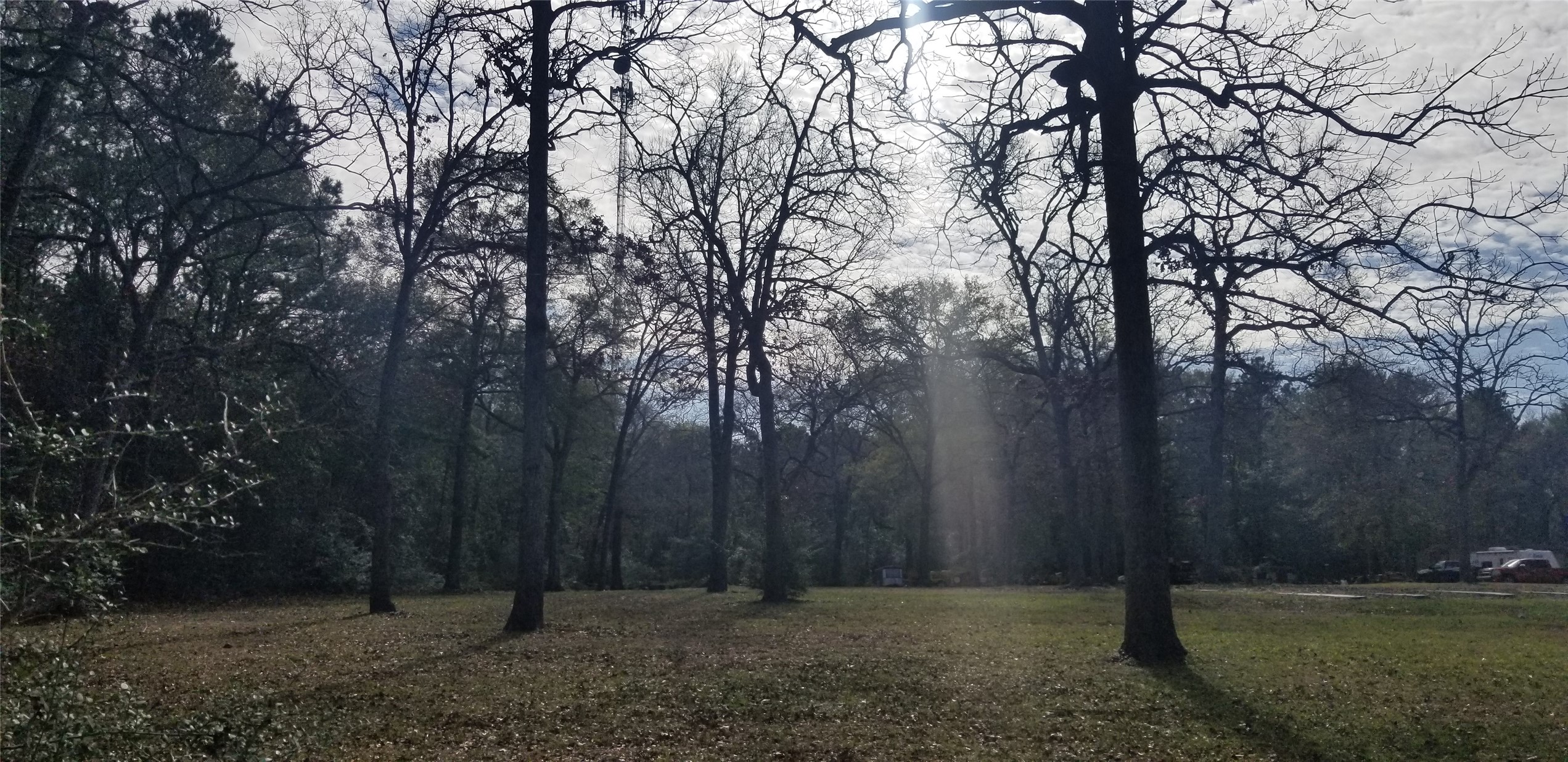 19190 Todd Road Magnolia, TX 77355 - Photo 7 of 20