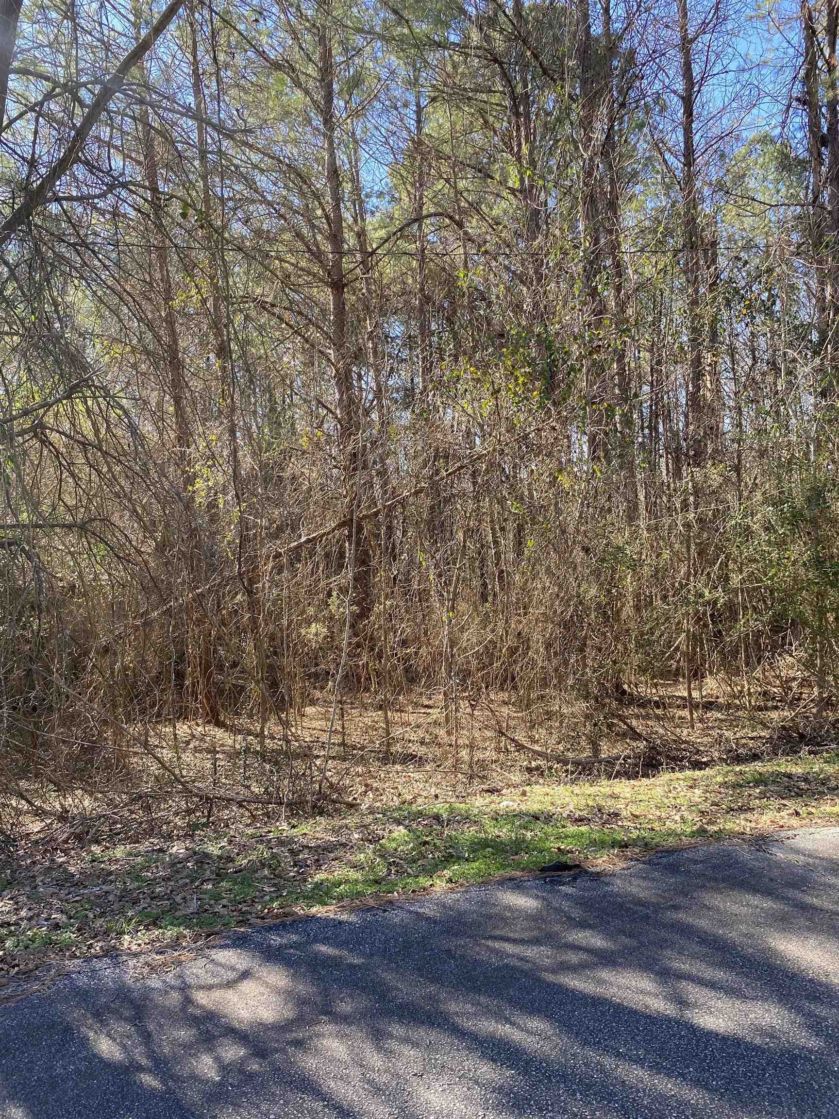 Charles Street Enoree, SC 29335 - Photo 2 of 3 Gallery Image 2