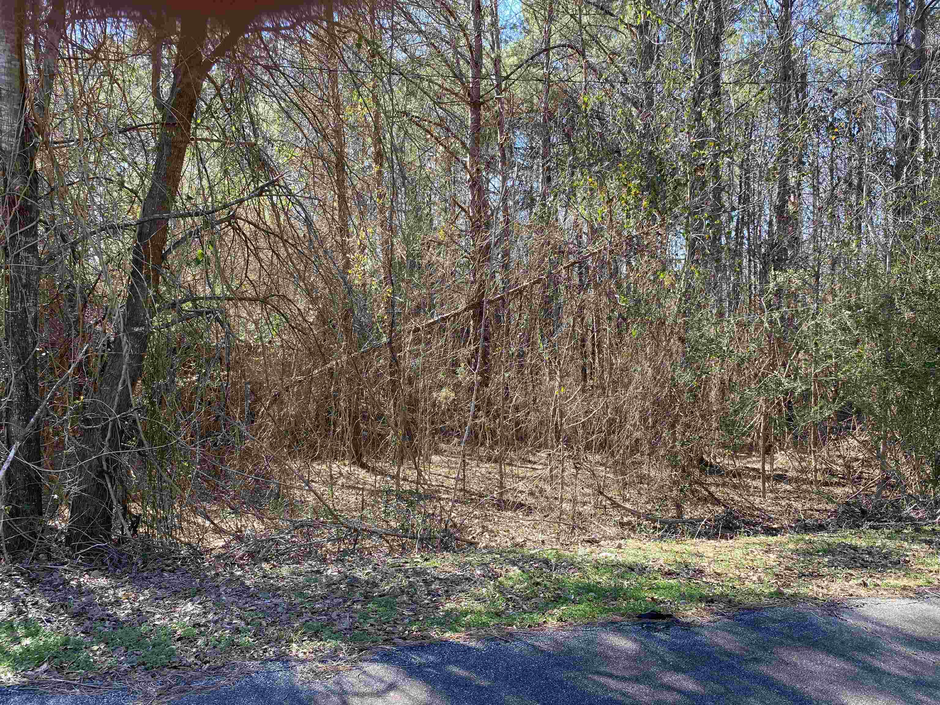 Charles Street Enoree, SC 29335 - Photo 3 of 3 Gallery Image 3