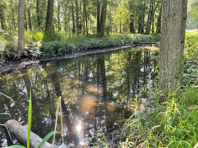 360 East Central Road Coldwater, MI 49036 - Photo 6 of 7 IMG_6902