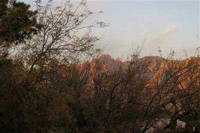 1585 East Allen Road, Unit A Tucson, AZ 85719 - Photo 9 of 10 Gallery Image 9