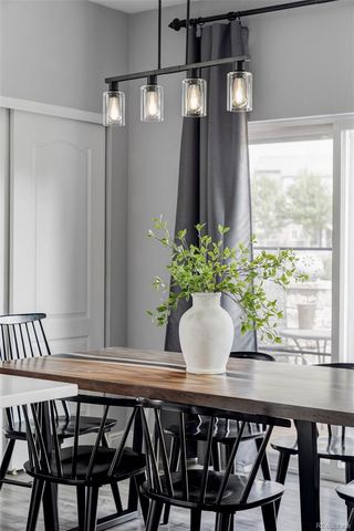 a close view of table chair and potted plant
