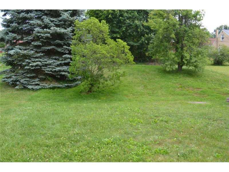 2311 Kane Road Aliquippa, PA 15001 - Photo 3 of 12 Yard/Garden.