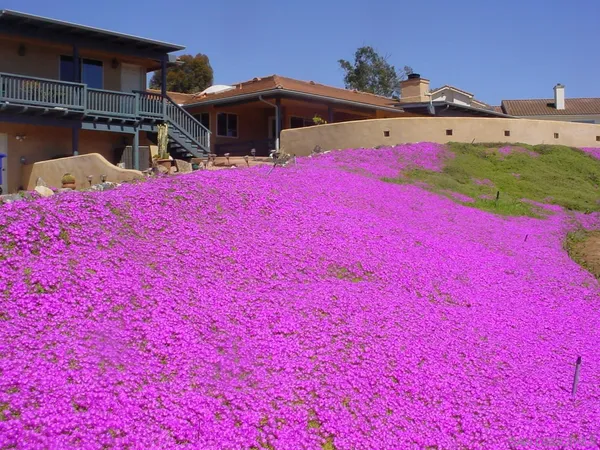 $1,450,000 | 0 Margale Lane, Vista, CA 92083