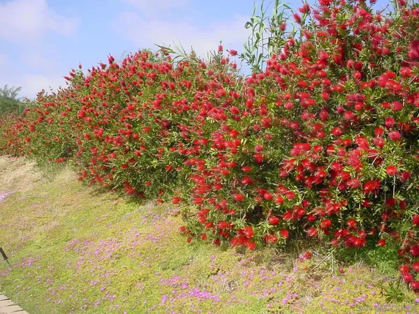 $1,450,000 | 0 Margale Lane, Vista, CA 92083