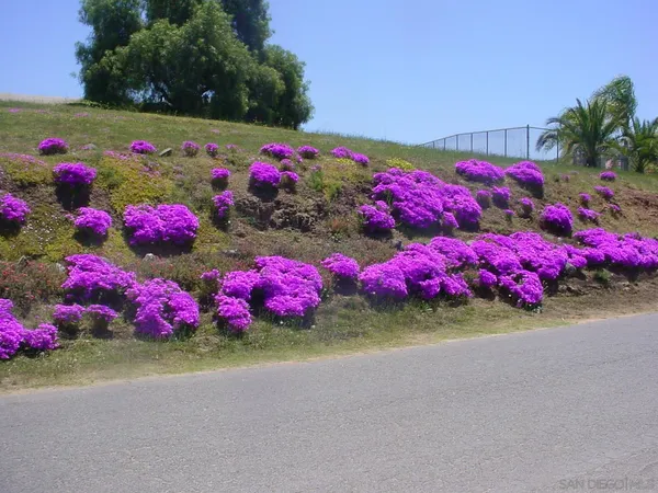 $1,450,000 | 0 Margale Lane, Vista, CA 92083