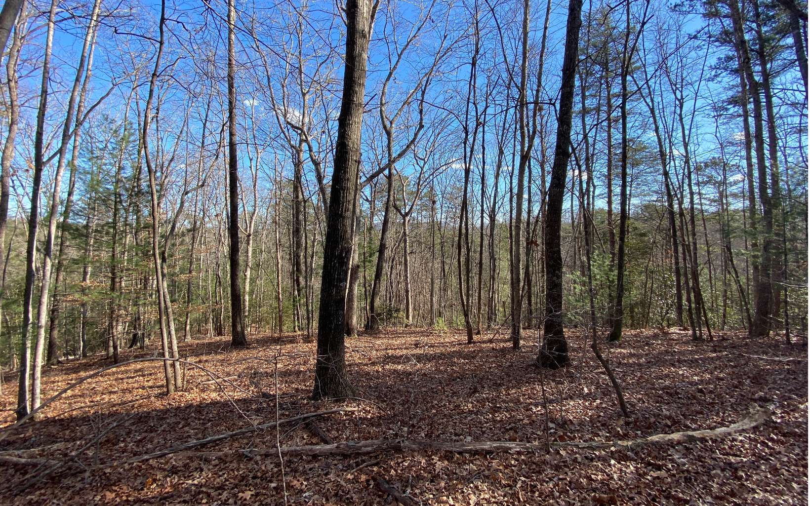 69 Mountain Tops Road Blue Ridge, GA 30513 - Photo 2 of 4 Additional View