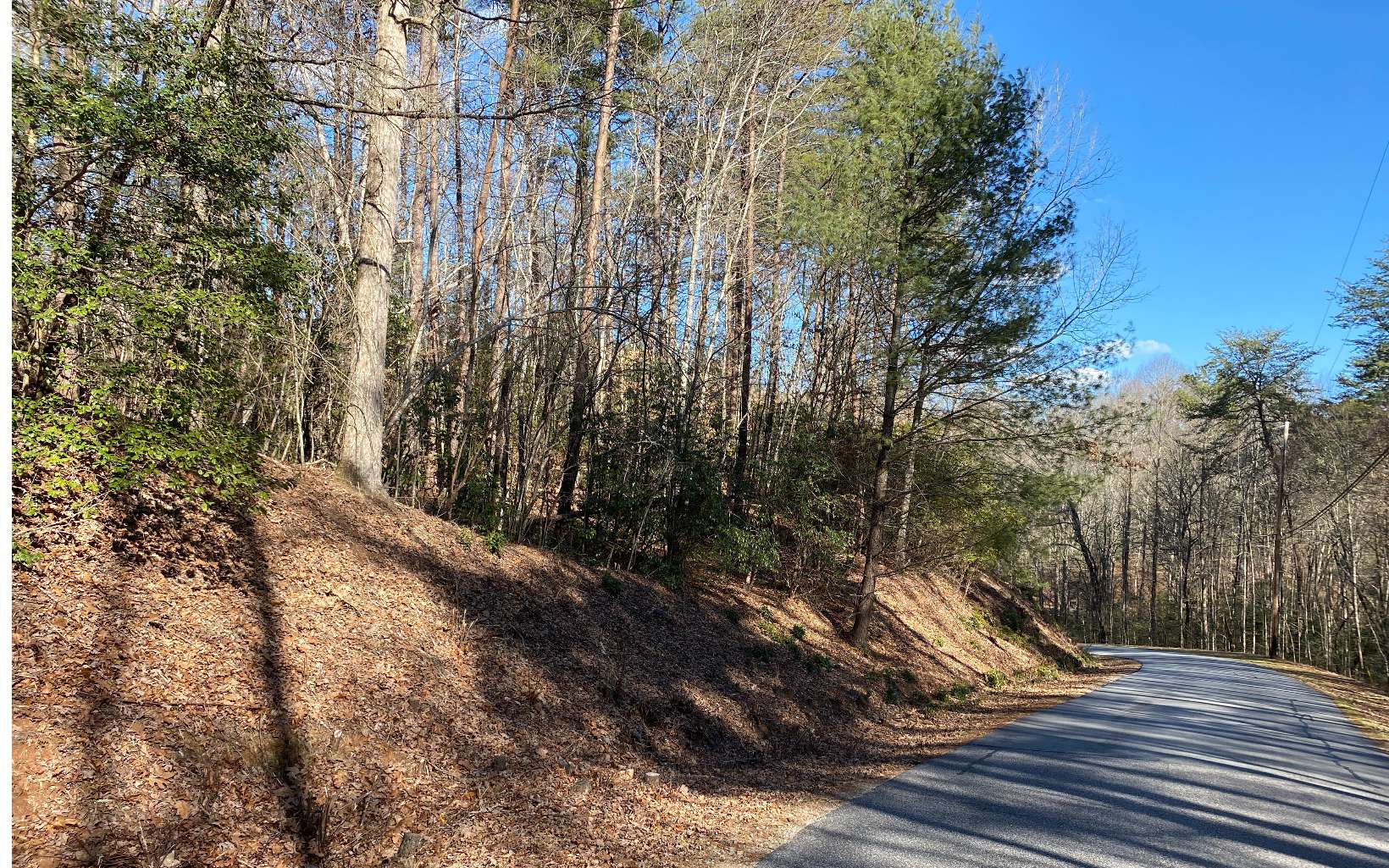 69 Mountain Tops Road Blue Ridge, GA 30513 - Photo 3 of 4 Additional View