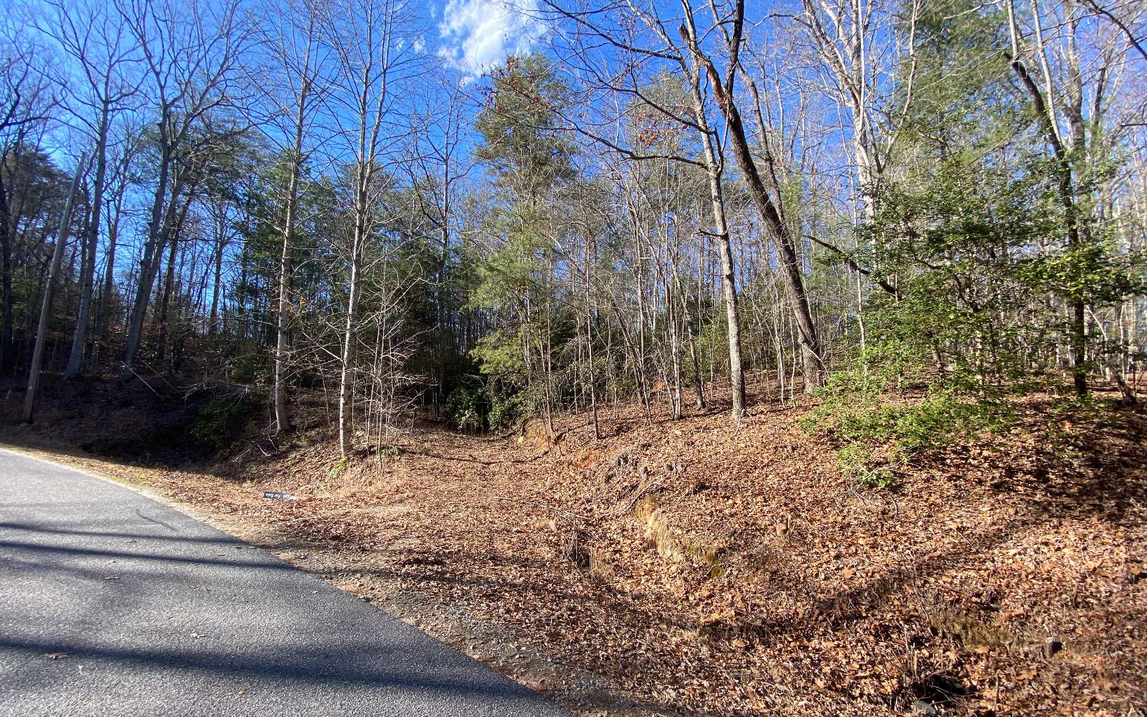 69 Mountain Tops Road Blue Ridge, GA 30513 - Photo 4 of 4 Additional View