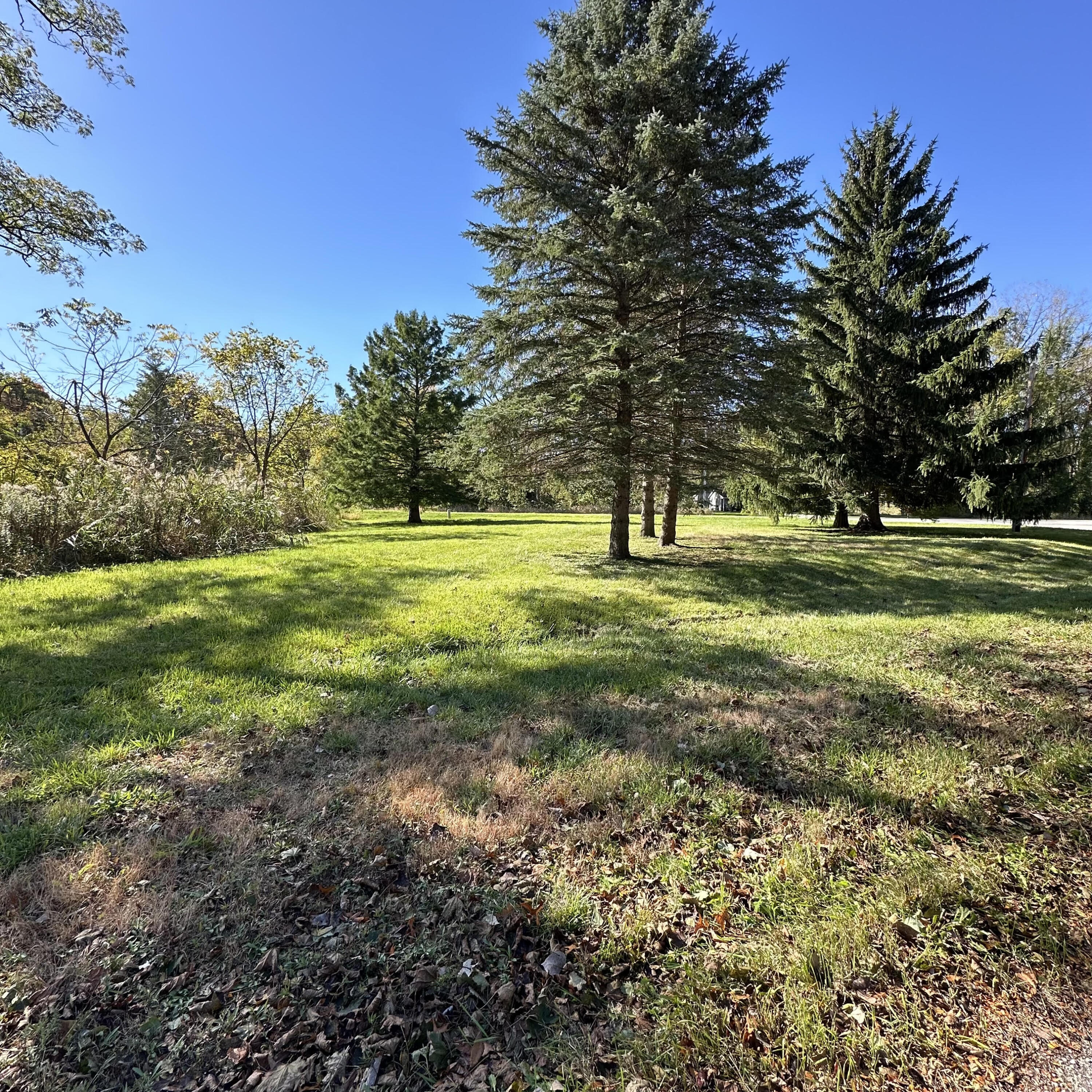 0 Nicomus Path La Porte, IN 46350 - Photo 2 of 3 a view of a park with large trees