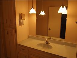 432 Rolling Mill Road Old Hickory, TN 37138 - Photo 12 of 18 Master Bath with Build in Cabinets.