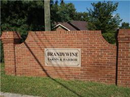 432 Rolling Mill Road Old Hickory, TN 37138 - Photo 3 of 18 "WELCOME HOME" TO Brandywine Farms
