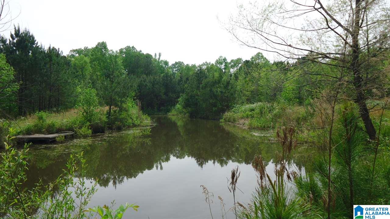 0 Mudd Street Ohatchee, AL 36271 - Photo 2 of 20