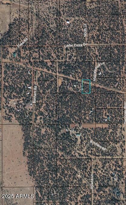 Lot #2 Power Line Road, Unit S Overgaard, AZ 85933 - Photo 8 of 9
