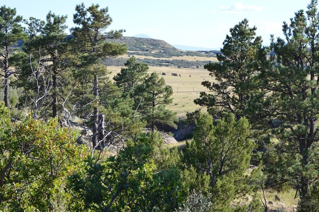 Tbd Tbd Plata Peak Rye, CO 81069 - Photo 3 of 11