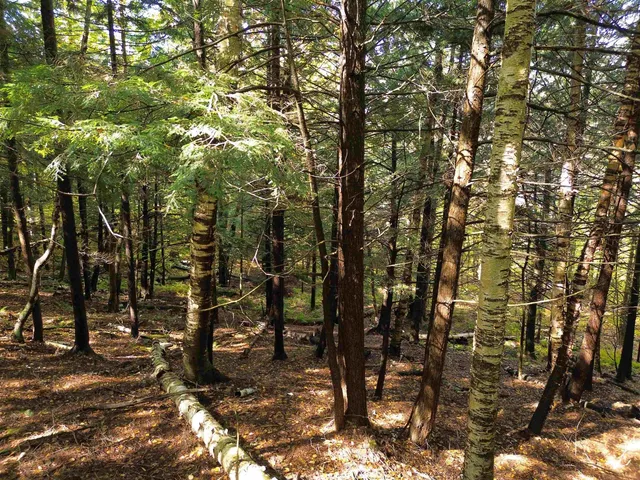 $175,000 | 350 Anne Burns Road, Unit 19 & 20, Warren, VT 05674