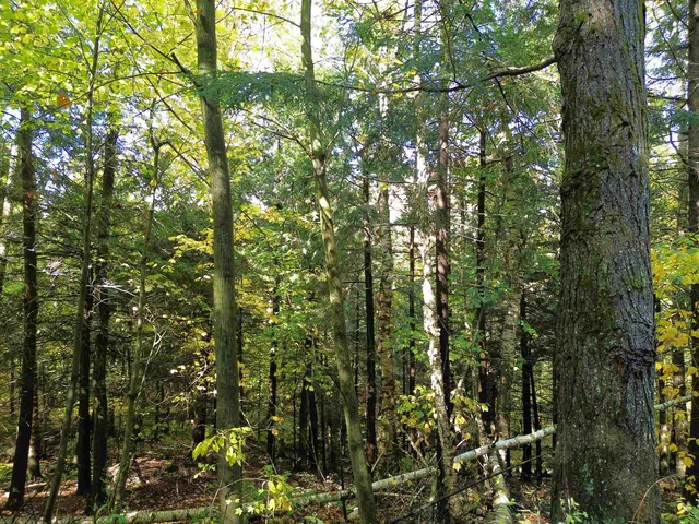 $175,000 | 350 Anne Burns Road, Unit 19 & 20, Warren, VT 05674