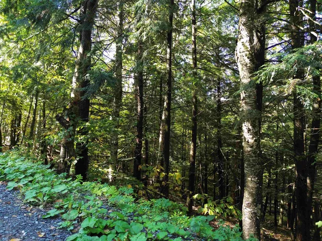 $175,000 | 350 Anne Burns Road, Unit 19 & 20, Warren, VT 05674