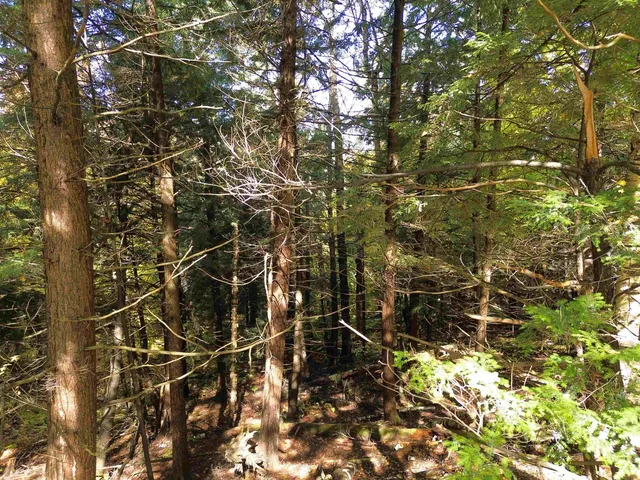 $175,000 | 350 Anne Burns Road, Unit 19 & 20, Warren, VT 05674