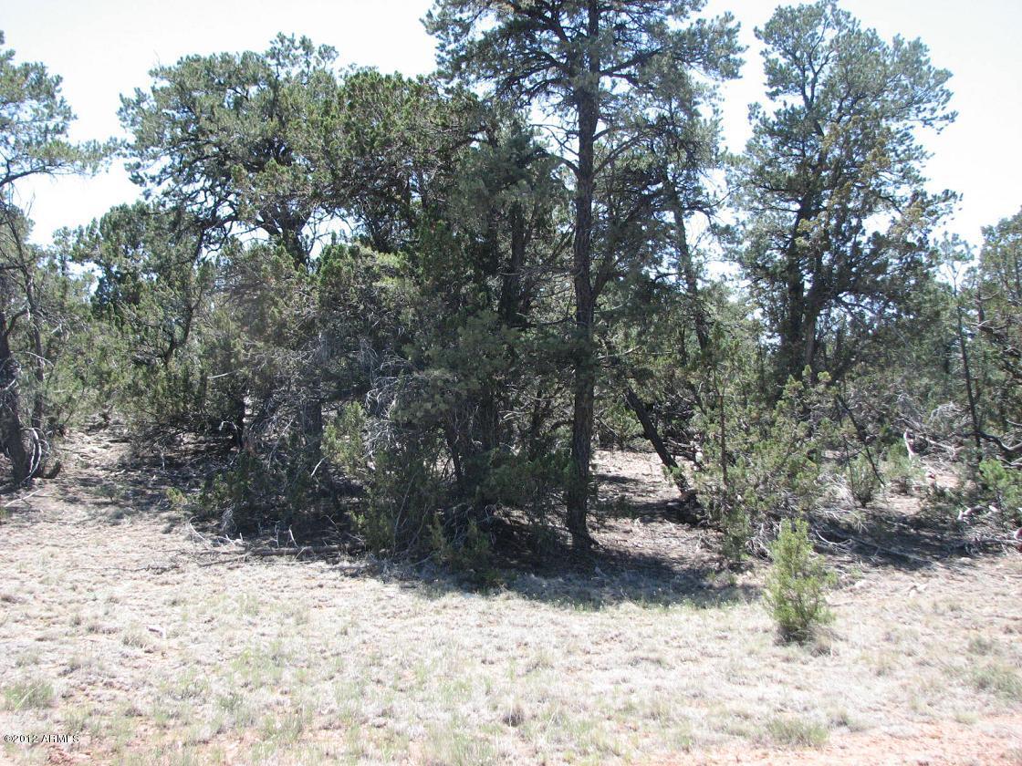 3249 Aspen Road, Unit 17 Overgaard, AZ 85933 - Photo 3 of 6 ...