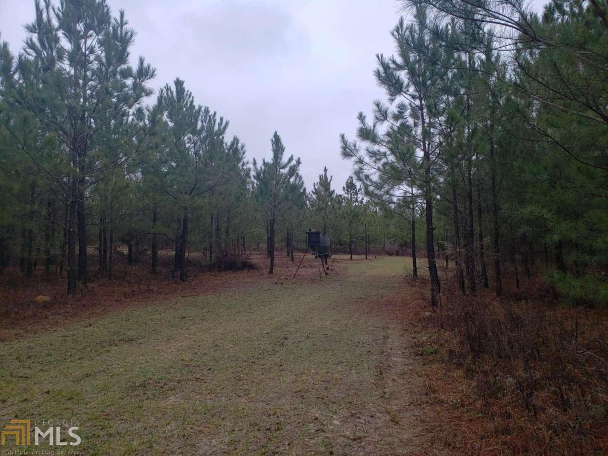 0 Lockett Road Cochran, GA 31014 - Photo 1 of 1 Gallery Image 1
