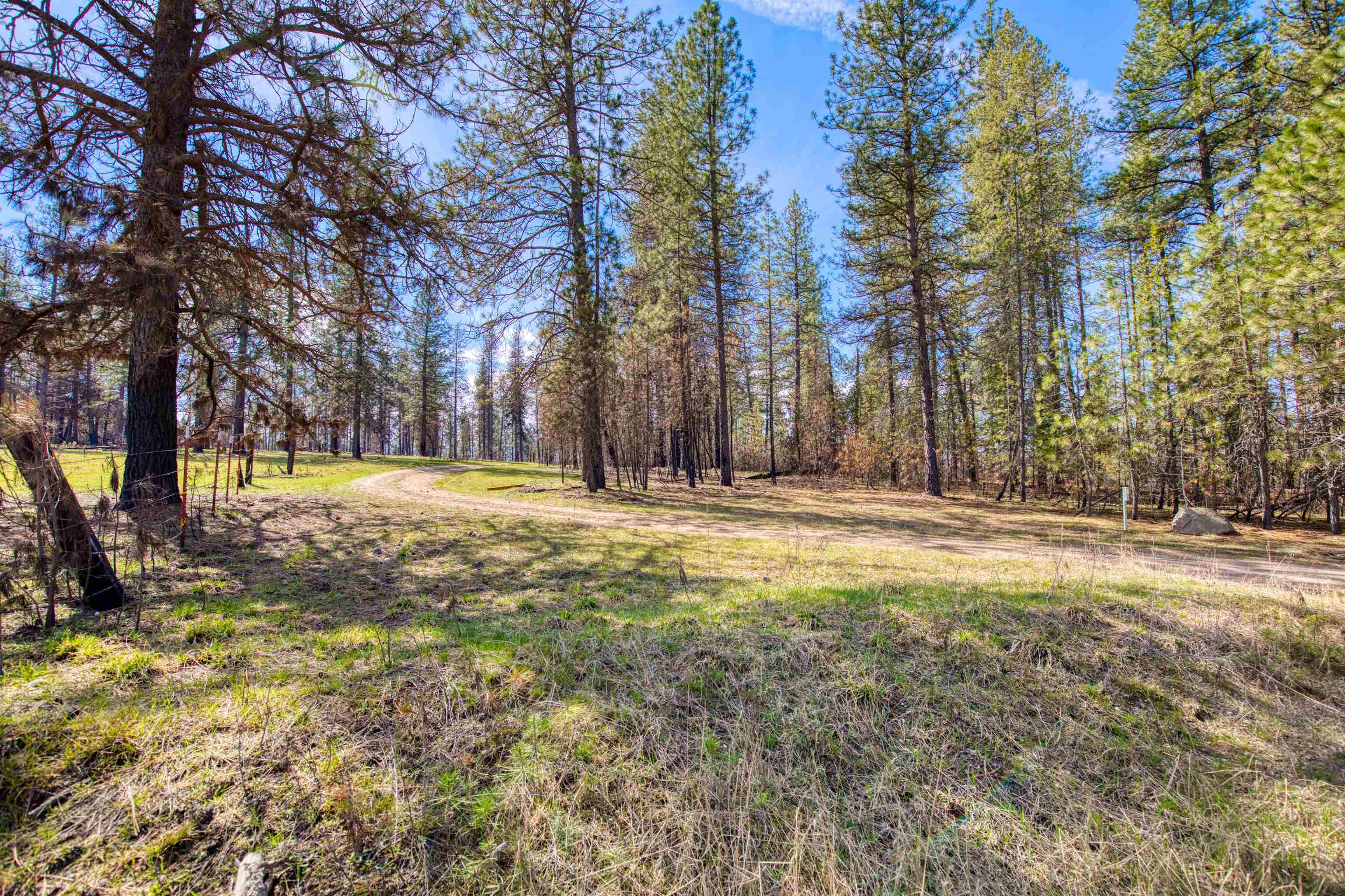 13418 East Bridges Road Elk, WA 99009 - Photo 13 of 26