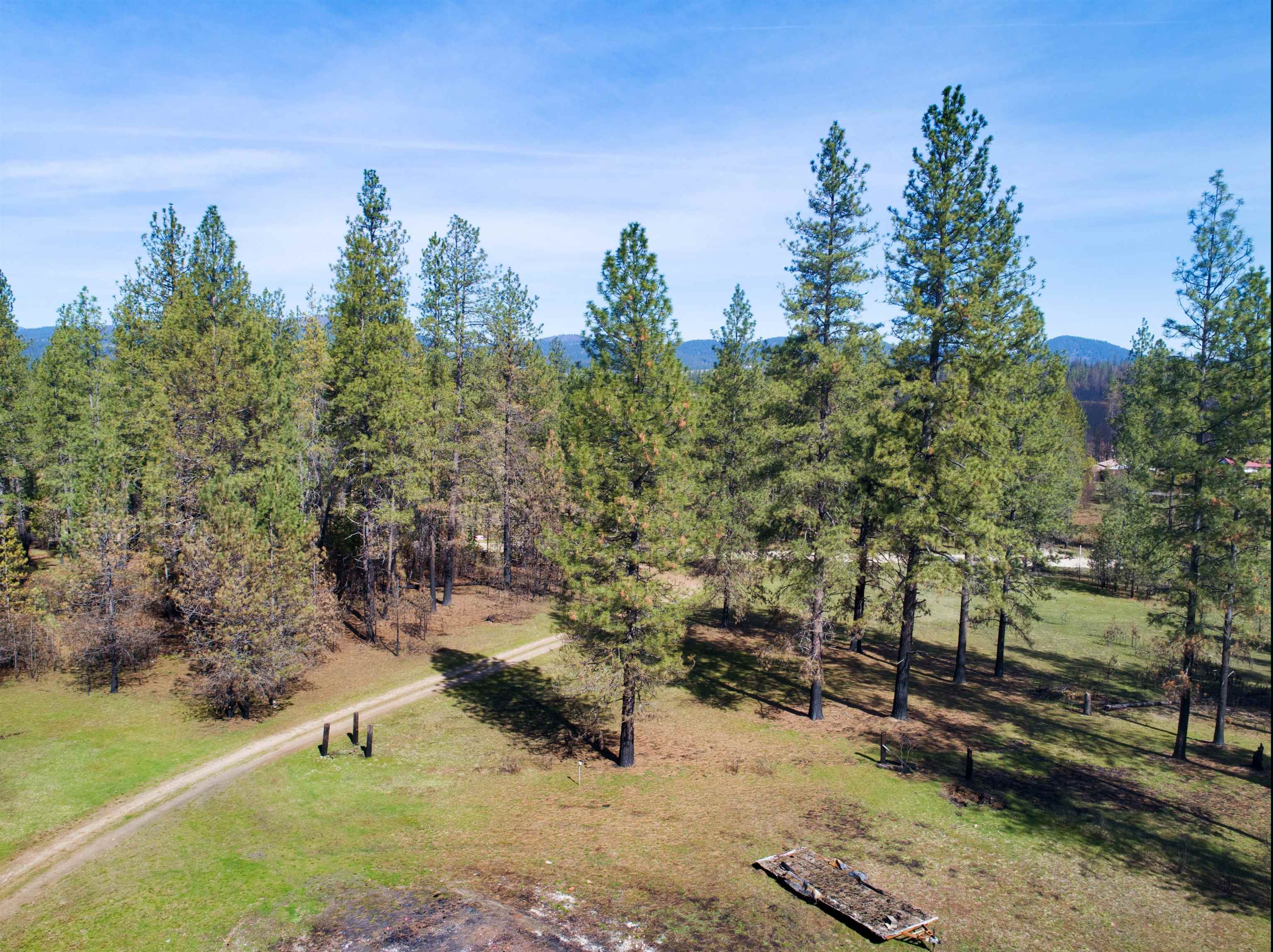 13418 East Bridges Road Elk, WA 99009 - Photo 15 of 26