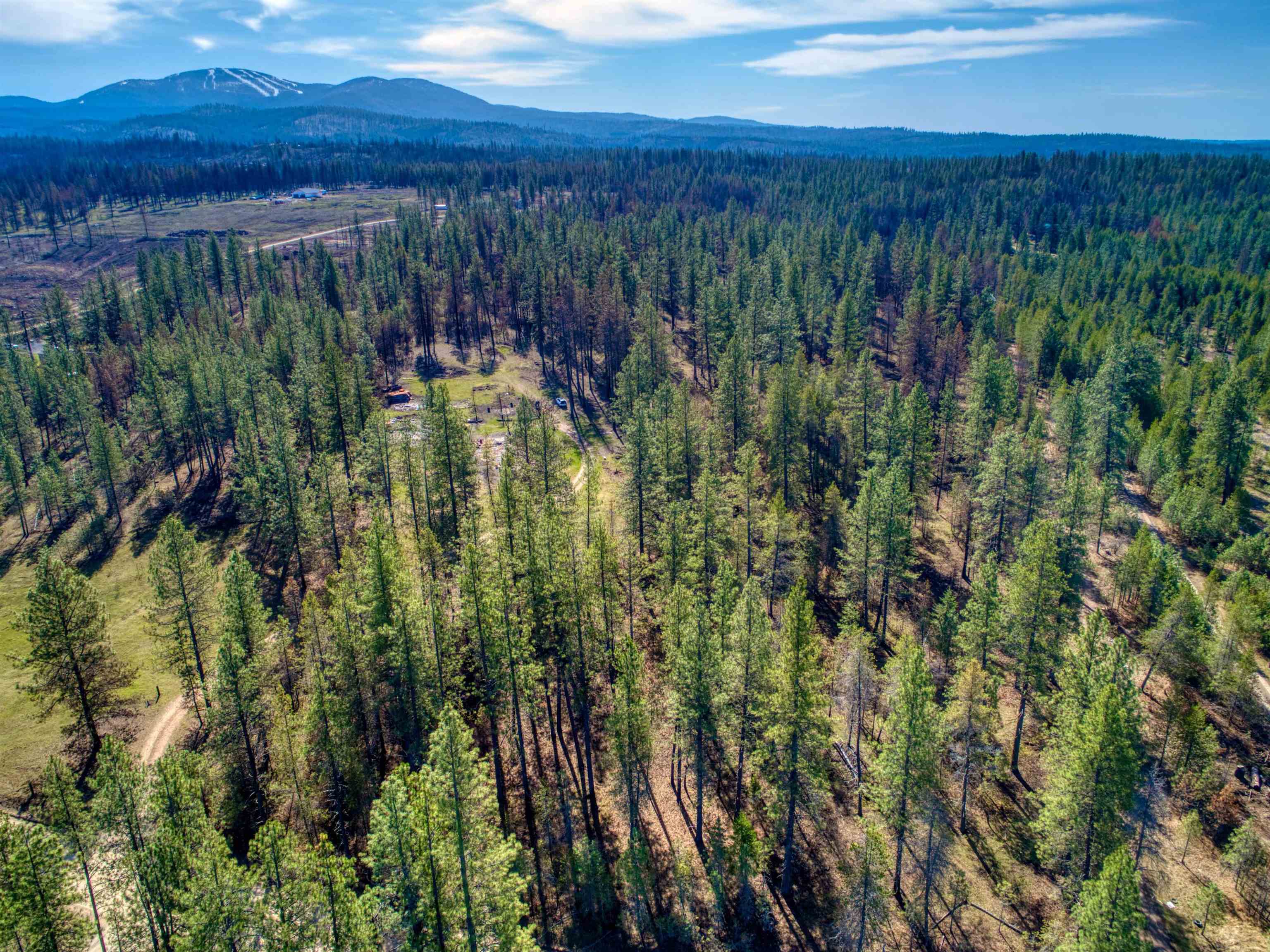13418 East Bridges Road Elk, WA 99009 - Photo 17 of 26