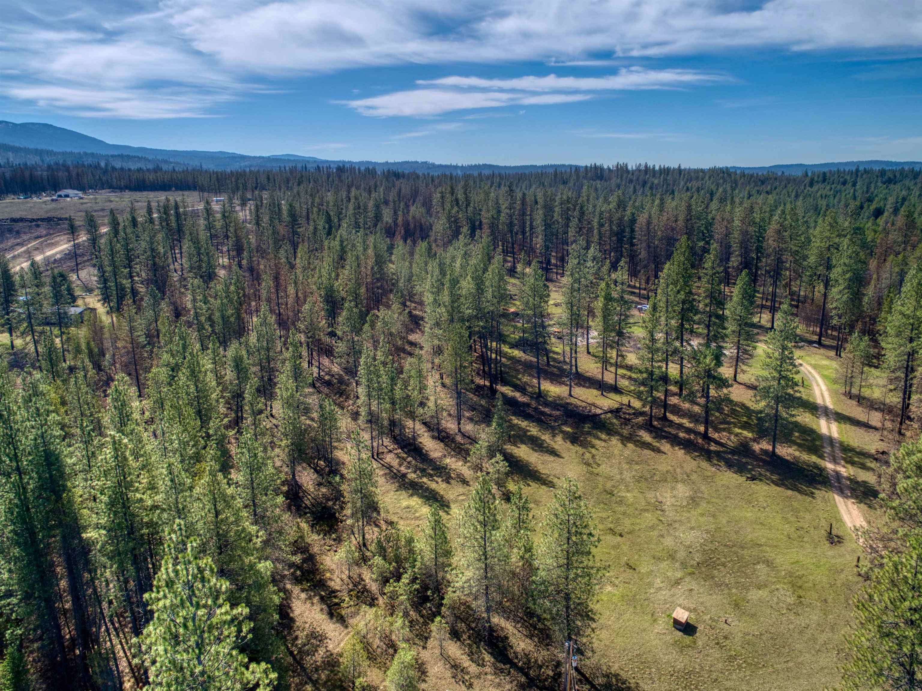 13418 East Bridges Road Elk, WA 99009 - Photo 3 of 26