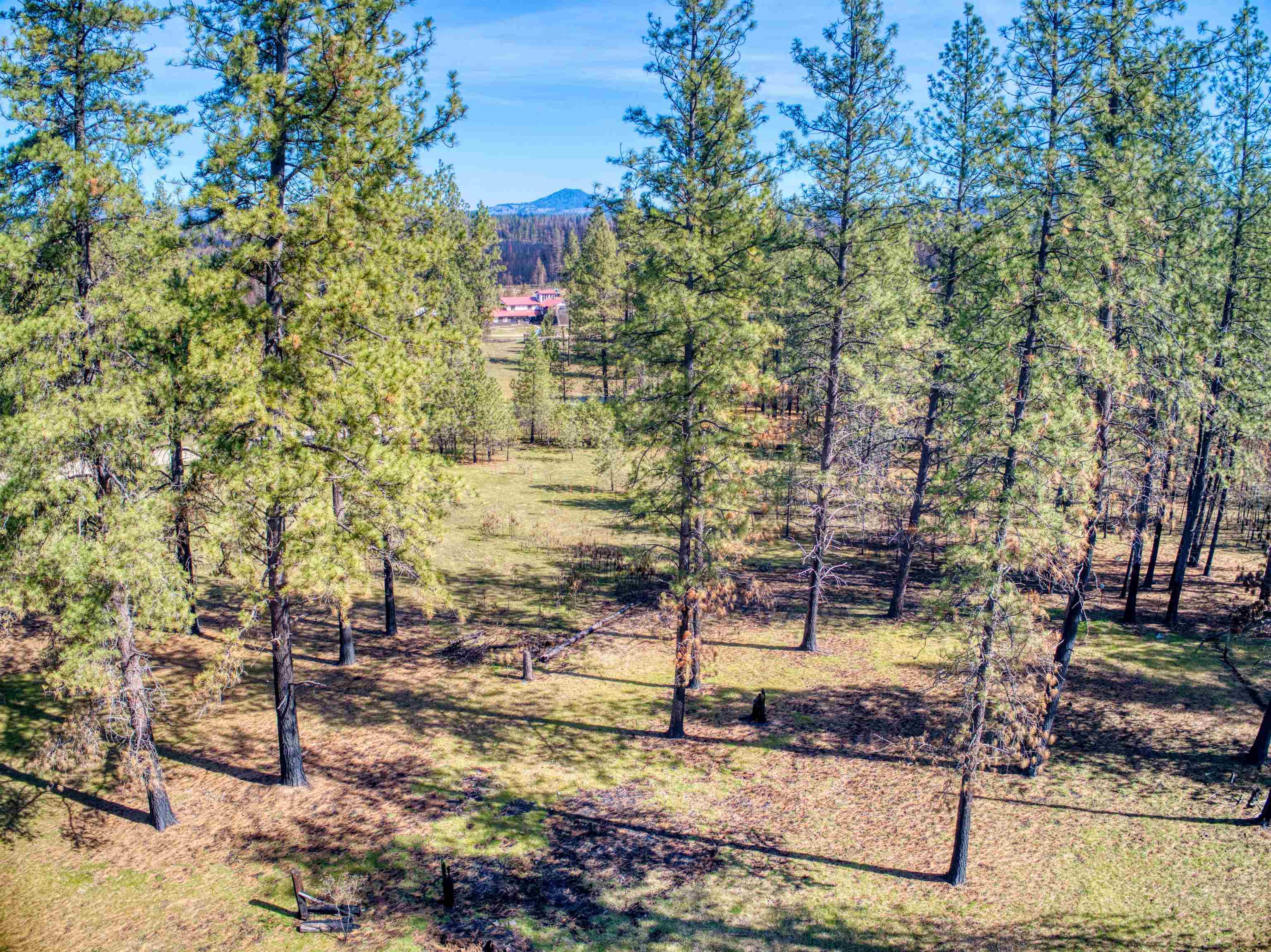 13418 East Bridges Road Elk, WA 99009 - Photo 5 of 26