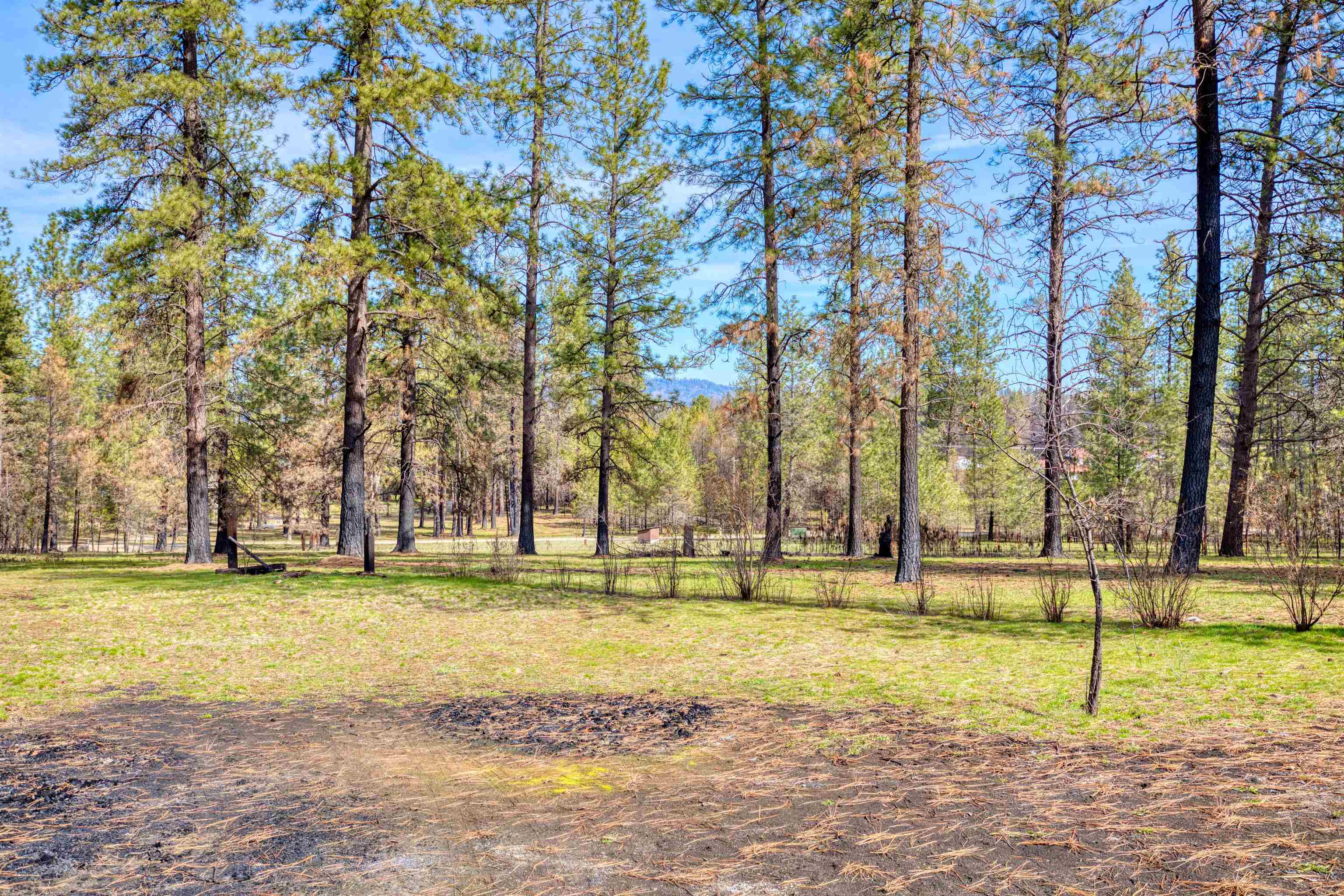 13418 East Bridges Road Elk, WA 99009 - Photo 6 of 26